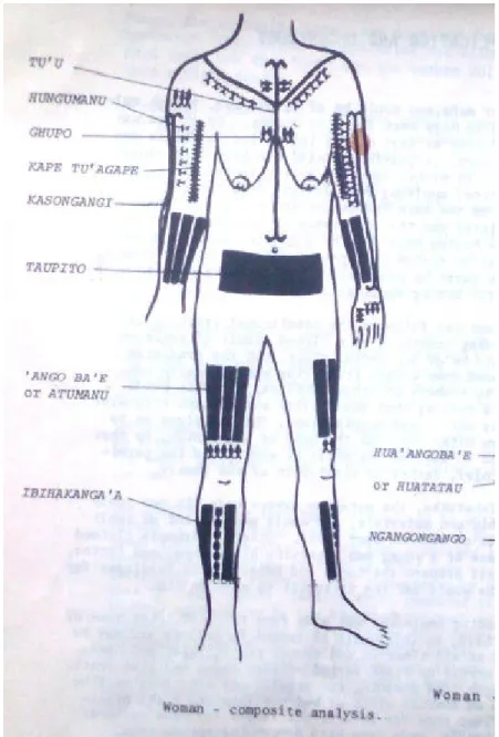 Figure 1b. Analysis of a woman bearing traditional tatau (reproduced from Tickle (1977) 