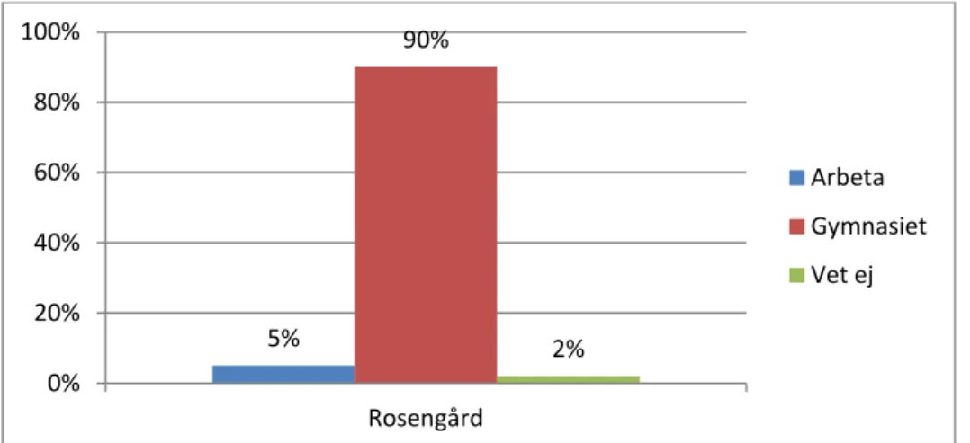 Diagram 13: Aktivitet efter årskurs 9: Urvalsgrupp Rosengård 