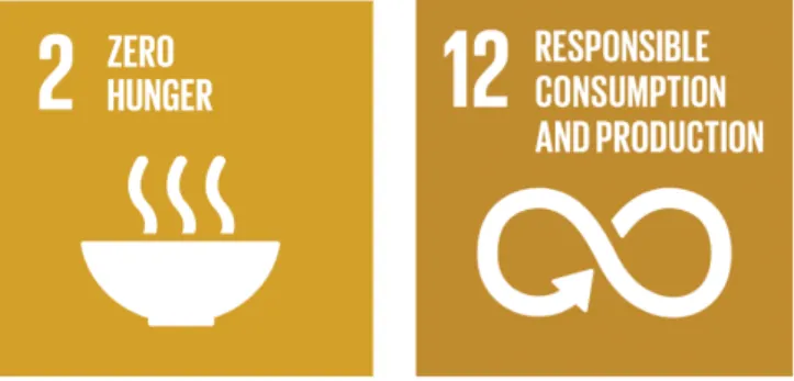 Figure 1: Logos for UN’s sustainable development goal 2, “Zero Hunger” and goal  12. “Responsible Consumption and Production” [7] 