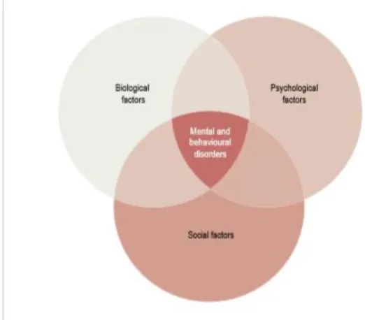 Figur 1. Kopplingen mellan biologiska, psykologiska och sociala faktorer i utvecklandet av  psykiska störningar