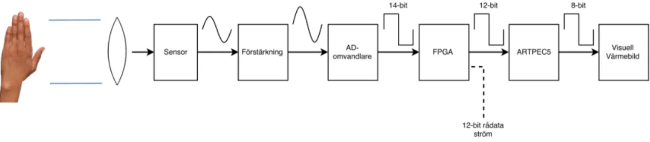 Figur 5: Signalbehandling i värmekameran 