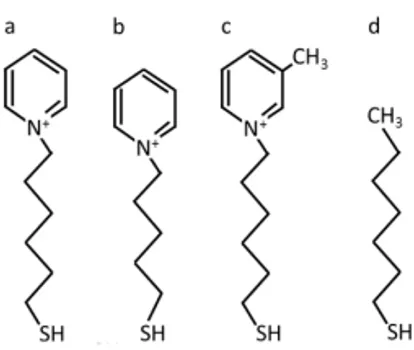 Figure 1. Schematic drawings of (a) N-(6-mercapto) hexylpyridinium, (b) N-(5-mercapto)  pentylpyridinium, (c) N-(6-mercaptohexyl)-4-methylpyridinium and (d) mercaptohexane