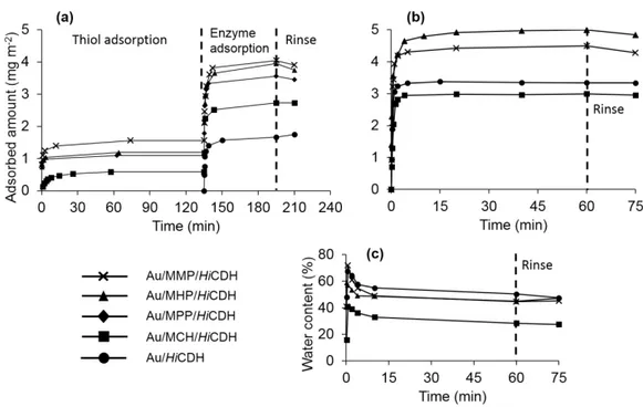 Table 1. Comparison of the experimentally determined and theoretically estimated  thickness of self-assembled thiol films of MHP, MPP, MMP and MCH adsorbed on gold  surface