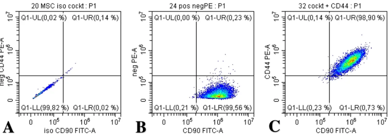 Figure 7.  Dot-blot showing expression of CD90 and CD44. In (A), sample #10 is stained with  the appropriate isotype controls for the positive cocktail mix