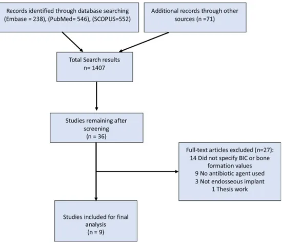 Fig. 1. Study screening process.