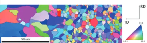 Figure 2: Microstructure RVE (l=0.8 mm, h=0.2  mm) with the texture indicated. The inlay shows  the adaptive mesh discretization of the grain  boundary network