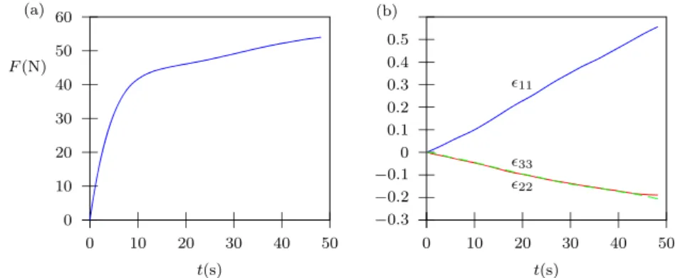 Fig. 5 Example of output from experiment in MD: (a) Force vs.
