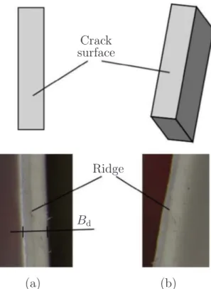 Fig. 15. Images of the crack surface from two diﬀerent angles.
