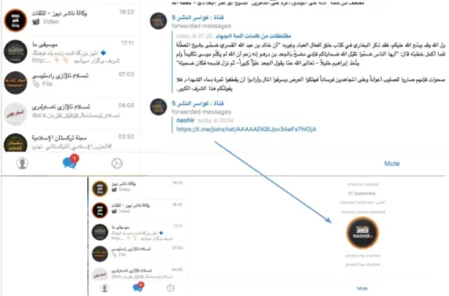 Figure 5. Screenshot of core pro-IS supporter channel on Telegram linking to official   Nashir channel