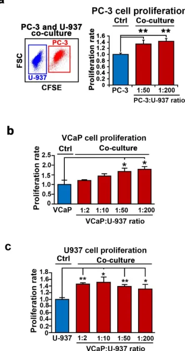 Figure 2. The effect of U-937 cells on the proliferation of PCa cells. (a) The effect of U-937 cells on PC- PC-3 cells in co-culture was determined using flow cytometry analysis