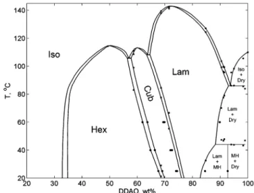 Figure 8. DDAO-water phase diagram. Dry denotes anhydrous surfactant, MH stands for monohydrate, Lam, Cub, and Hex stand for the lamellar, cubic, and hexagonal liquid crystalline phases, respectively, and Iso denotes isotropic solution