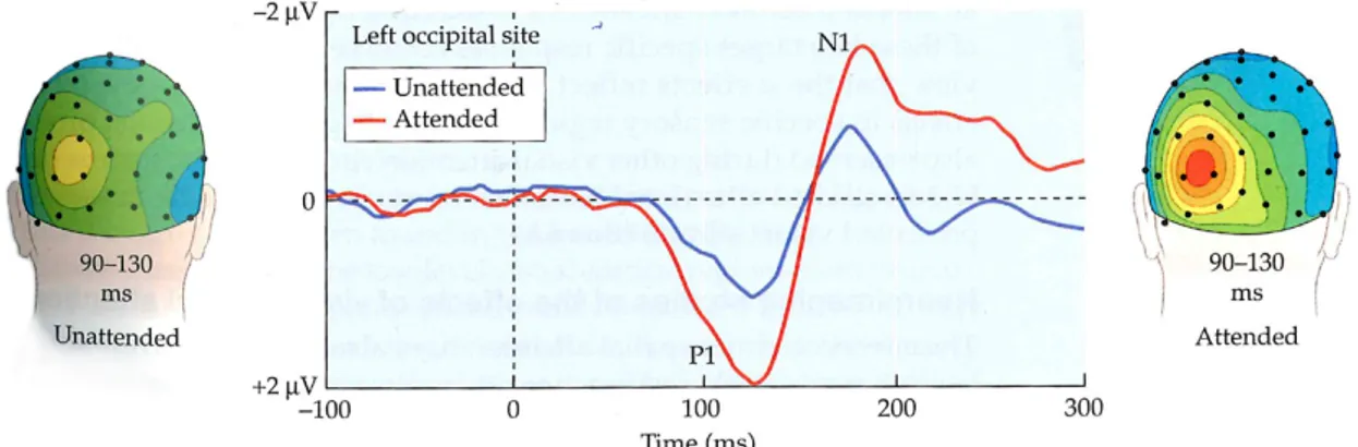 Figure	
  6:	
  The	
  difference	
  in	
  neural	
  activity	
  between	
  attended	
  and	
  unattended	
  stimuli,	
  perceived	
  at	
  the	
  left	
  occipital	
  site.	
   	
  