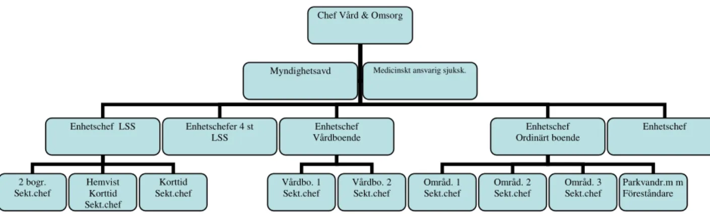 Figur 1.1 Verksamhetsstrukturen inom vård och omsorg 