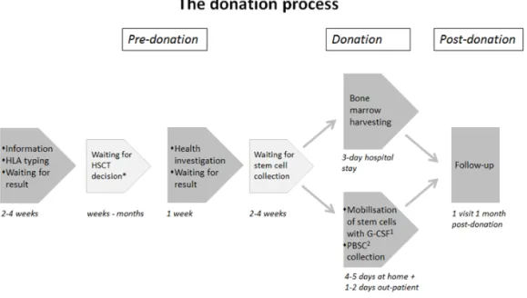 Figure 4. Schematic flowchart of the donation process for sibling donors. The  time schedule is approximate