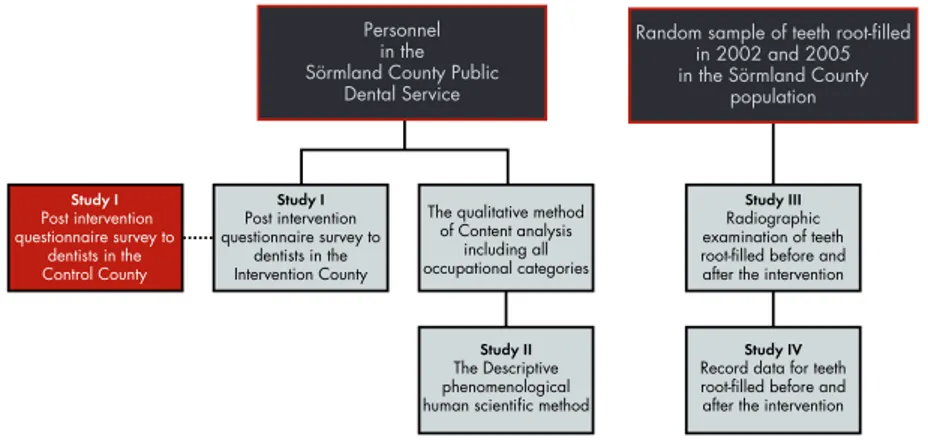 Figure 1. Overview of subjects and methods in Studies I – IV.