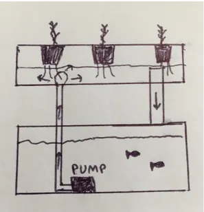 Figur 6: Skiss av ett vattenfallsystem. Figur 7: Skiss av ett overflowsystem.