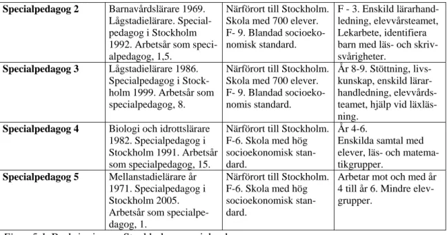 Figur 5.1  Beskrivning av Stockholms specialpedagoger 