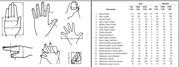 Figur 8. Tabell på den generella handmått för människan Figur 7. Illustration på den generella handmått för 