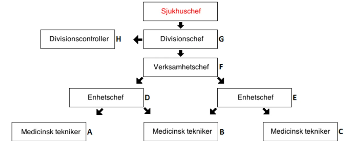 Figur 6. Hierarkin. Figuren ovan illustrerar hur respondenterna passar in i hierarkin på sjukhuset