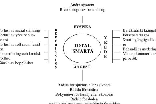 Figur 1.Totalsmärtemodellen efter (Hawthorn &amp; Redmond, 1999). 