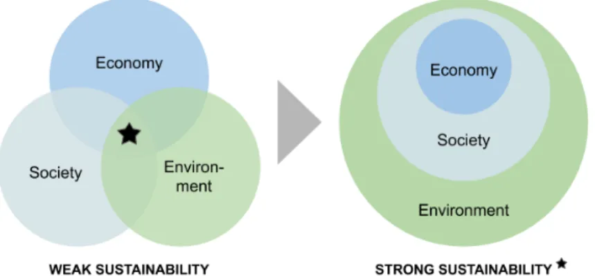 Figure 1 Weak vs. Strong Sustainability (Derived from Ekins et al., 2003) 
