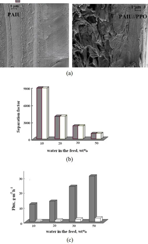 Figure 5.  The SEM micrographs on cross-section of PAIU and PAIU/PPO films (а), the dependence of  separation factor (b) and total flux (c) on the water content in the feed in pervaporation of water–isopropanol  mixture using ( ) PAIU and ( ) PAIU/PPO memb