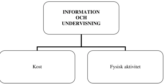 Figur 1. Huvudkategorin Information/undervisning med dess två underkategorier. 