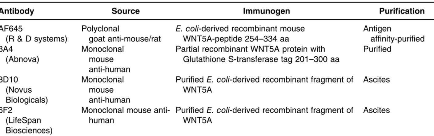 Table 1. Characteristics of WNT5A antibodies