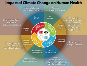 Figur 4 illustrerar hur klimatförändringar påverkar människors hälsa (Center for Disease Control and  Prevention, 2014) 