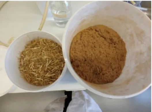 Figure 4: Wheat straw on the left before pretreatment and on the right after treatment