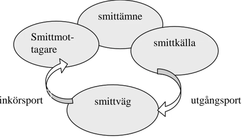 Figur 1: Figuren visar smittkedjan. Ur Stordalen (1999, s 35). 