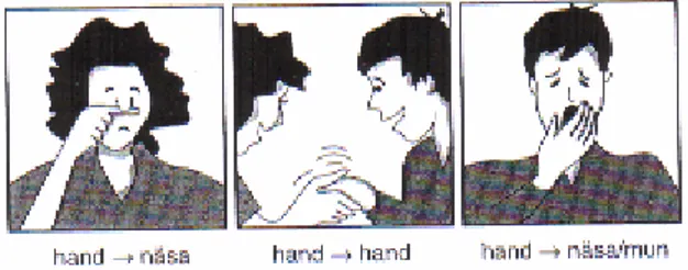 Figur 2: Händerna kontamineras när vi berör ett område av vår egen eller annans  hud. Ur Stordalen (1999, s 52)