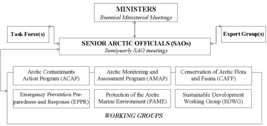 Figure 3: Structure of the Arctic Council  