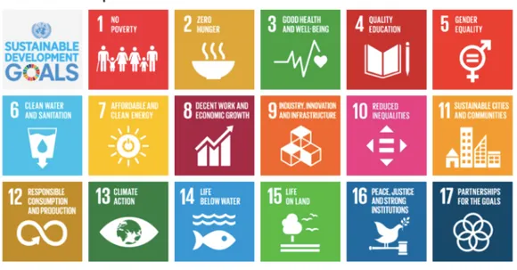 Figure 5. UN SDGs 