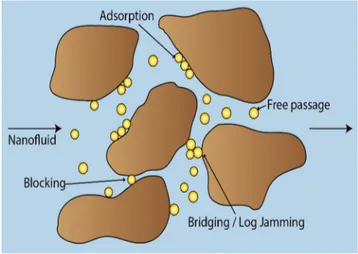 Figure 3. Possible transport outcomes for nanoparticles flowing through porous media. 