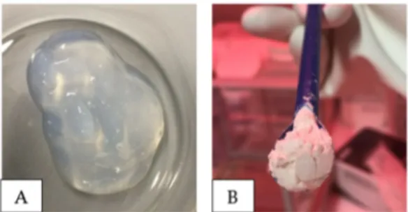 Figure 4. Pictures of nanocellulose stock dispersion (A) CNC (USDA) and (B) CNC (AITF)