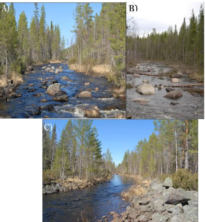 Figur 1. Olika typerna av vattendrag som ingår i studien. A) Bästa praxis restaurerad, B) Avancerat restaurerad,  och C) Kanaliserad.