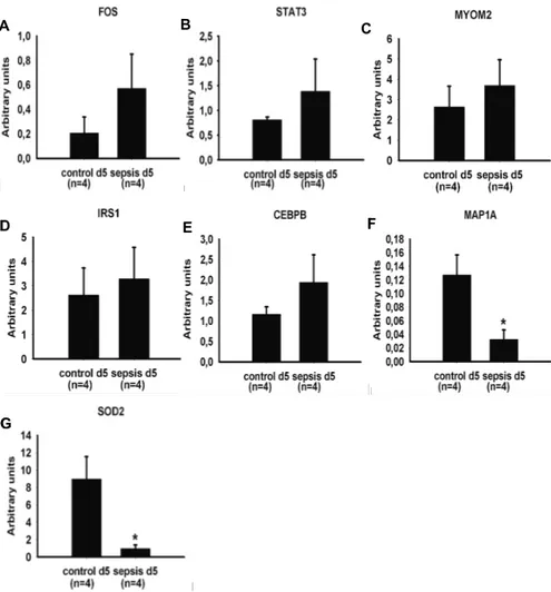 Figure 11. Microarray results were validated by real time RT-PCR in the biceps  femoris muscle