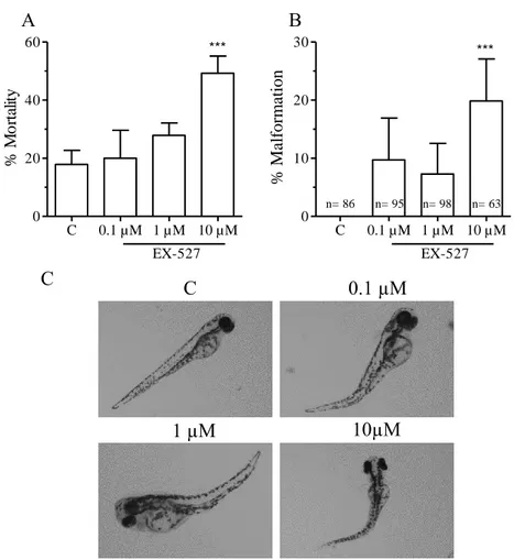 Figure 9. Morphological effects of exposure to EX-527. Zebrafish were exposed to EX- EX-527 (0.1, 1 and 10 µM) from 2 – 144 hpf