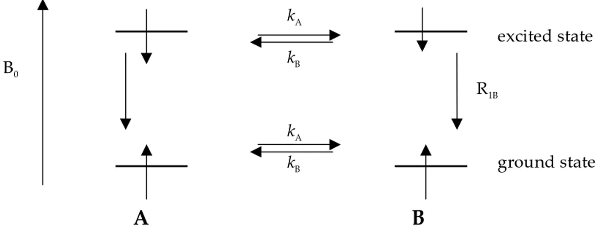 Figure 2.3. Illustration of the principals of magnetisation transfer.