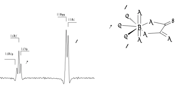 Figure 3.4  19 F NMR spectrum of UO 2 (ox)F 3 3-  at –5 O C.