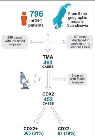 FIGURE 1 | Flow chart describing collection of tumor blocks, tissue microarray (TMA), and availability of CDX2 status in a population-based Scandinavian cohort of metastatic colorectal cancer.