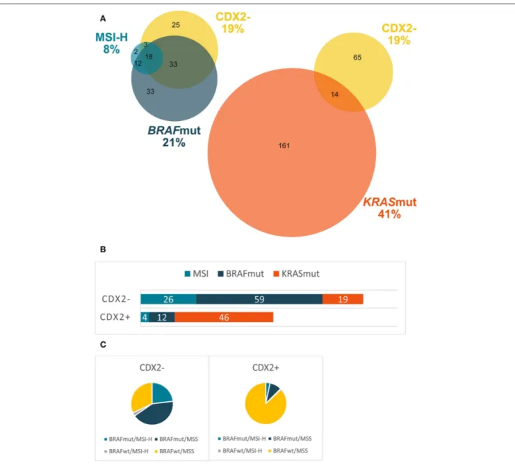 FIGURE 3 | Distribution of different molecular markers in a population-based Scandinavian cohort of metastatic colorectal cancer