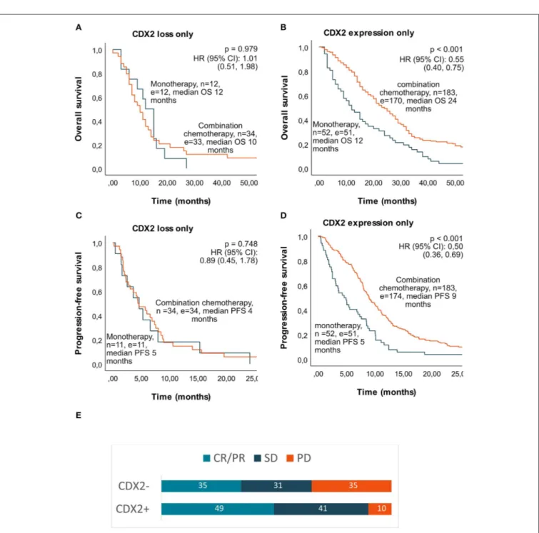 FIGURE 4 | CDX2 status for patients given first-line combination chemotherapy. (D) Median OS according to tumor molecular alterations in patients given first-line combination chemotherapy: double wild type 26 months (n = 88, e = 80), KRASmut/CDX2 expressed