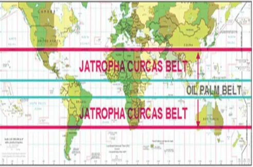 Figure 1. Most suitable climate conditions for the growth of Jatropha  (Putten et al., 2010)