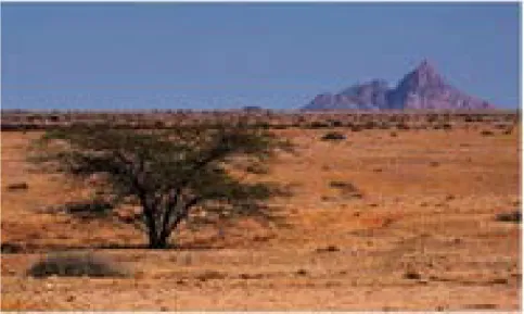 Figure 10. Degraded land in arid condition in Kenya (Muok &amp; 