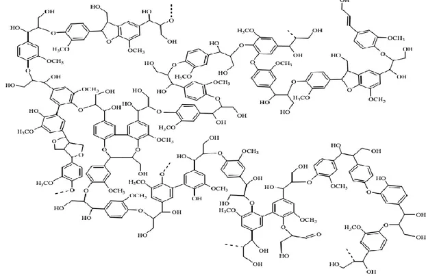 Figure 1. lignin structure in softwood (18). 