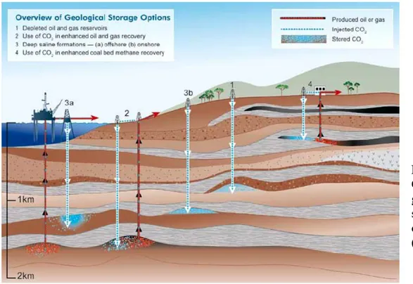 Figure 1.  Overview of  geological  storage  options  (IPCC, 2005) 