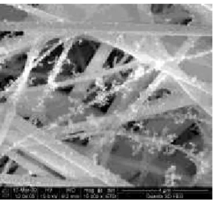 Figure 3. An example of  particles   morphology from aboveground rail  traffic (Abbasi, 2012a)