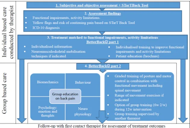 Figure 5  The Behavioural Change Wheel 39  and the Theoretical Domains Framework (TDF)